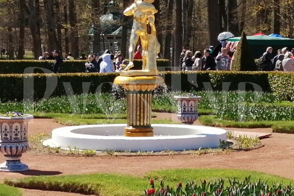 21.05. Праздник открытия фонтанов в ПЕТЕРГОФЕ!