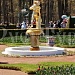 21.05. Праздник открытия фонтанов в ПЕТЕРГОФЕ!