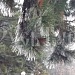 Отдых. Оздоровление. Туризм на Северном Кавказе