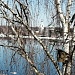 Встречаем День туризма!