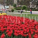 "Незабываемое путешествие на Северный Кавказ с ТК РУСЬТУР"