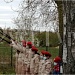 Весна! Май! Янтарный край! День Победы! 