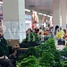 Отдых. Оздоровление. Туризм на Северном Кавказе