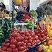 Отдых. Оздоровление. Туризм на Северном Кавказе