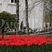"Незабываемое путешествие на Северный Кавказ с ТК РУСЬТУР"